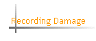 Recording Damage
